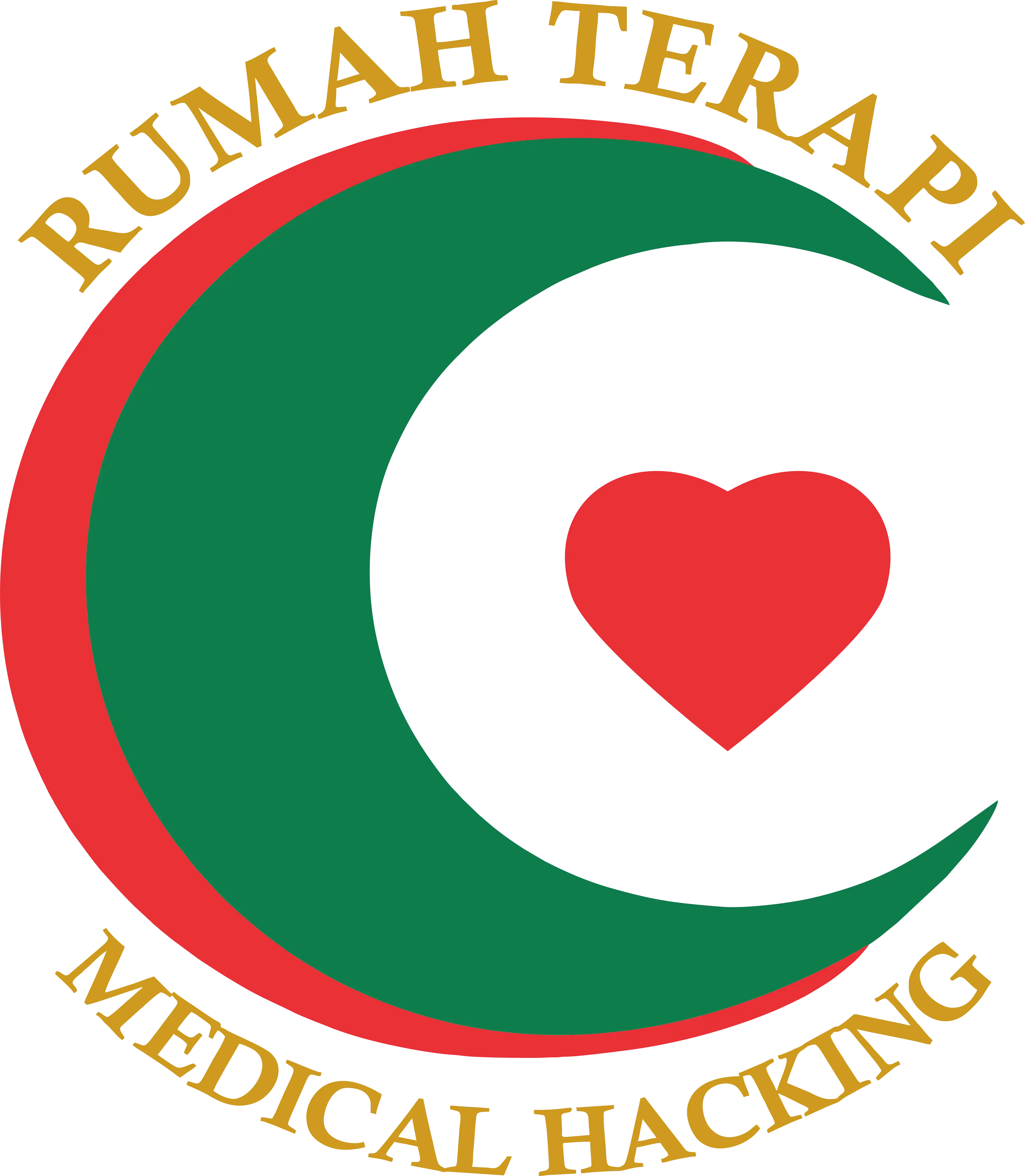 LOGO RS MEDICAL HACKING GOLD